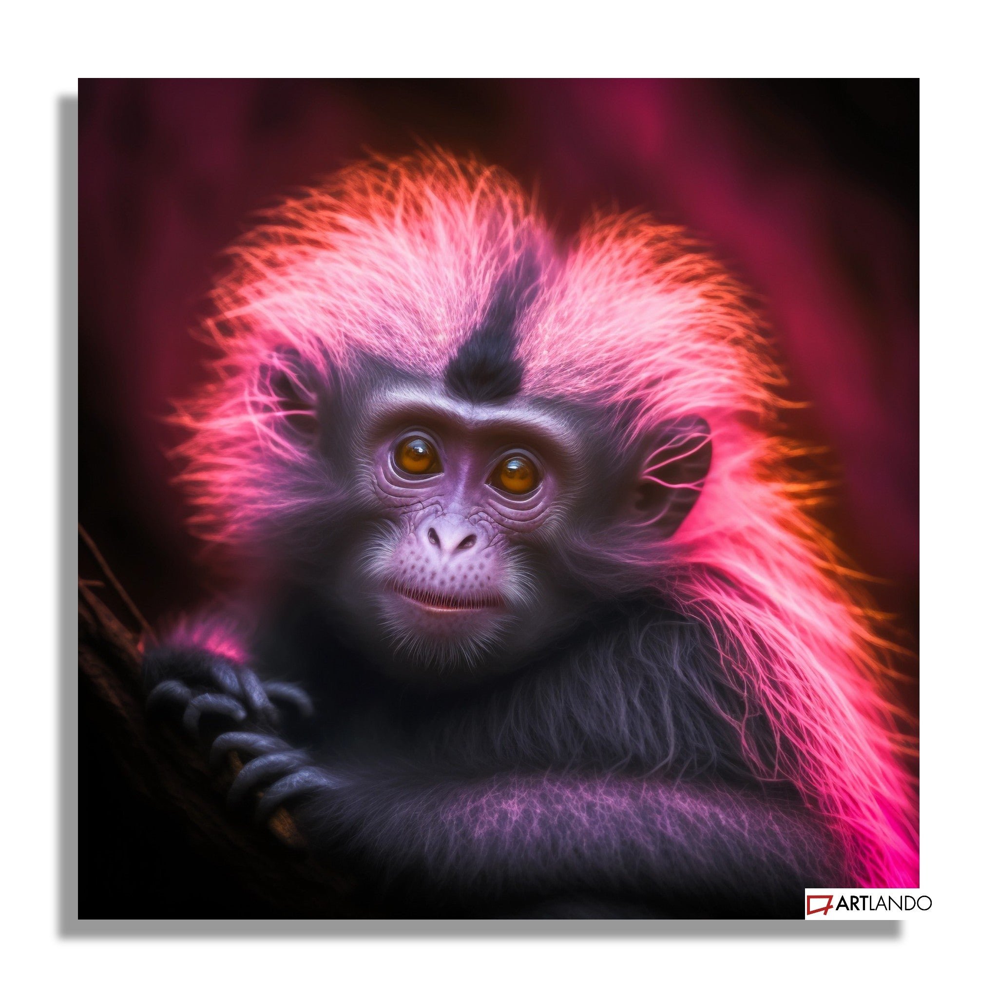 Affe mit fluffigem pink leuchtendem Fell