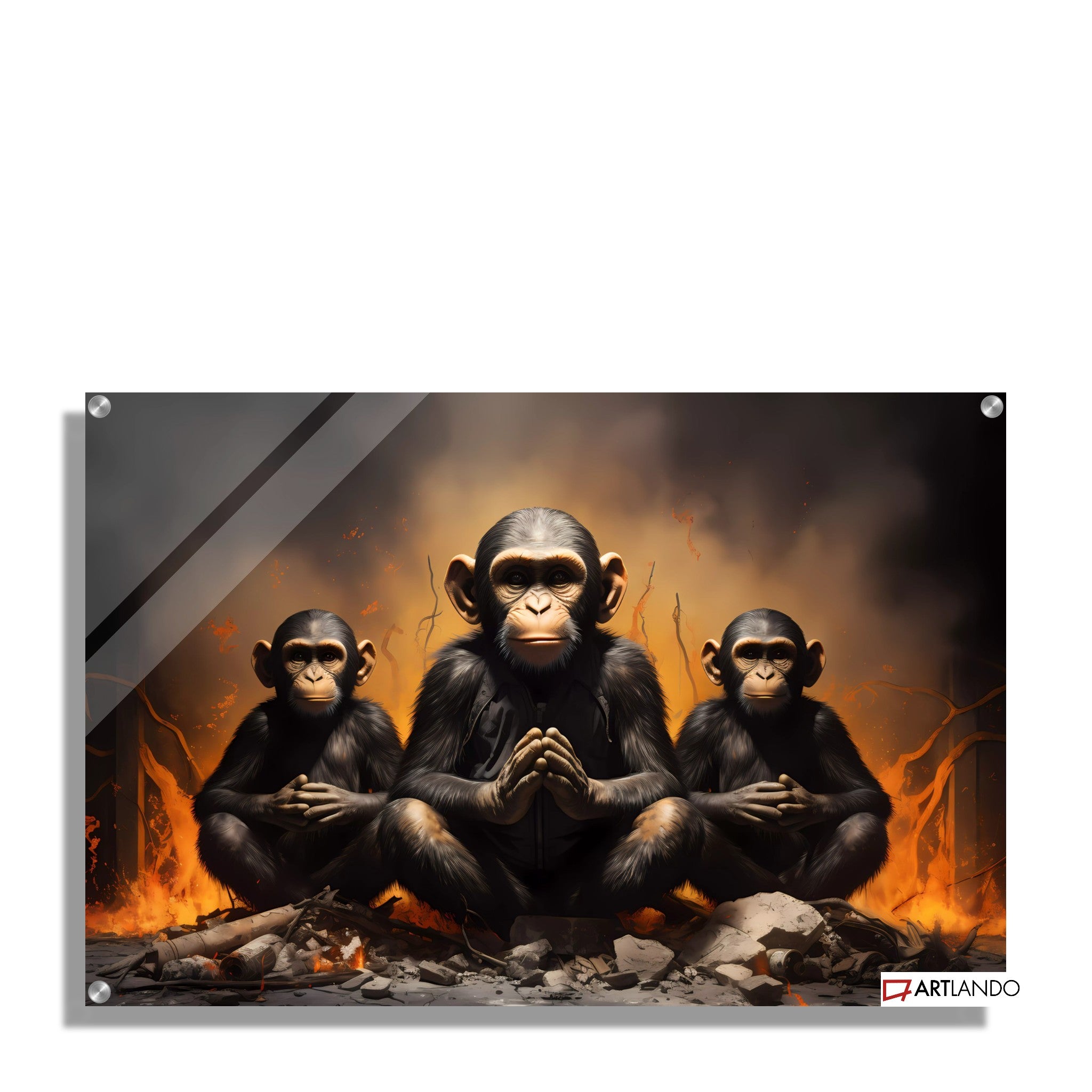 Drei Affen vor Feuer - Banksy Style