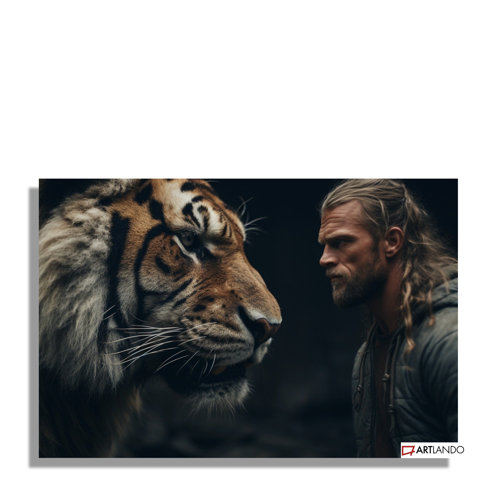 Mutiger Mann Auge in Auge mit Tiger